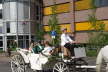 Schuetzenfest_20070429_026